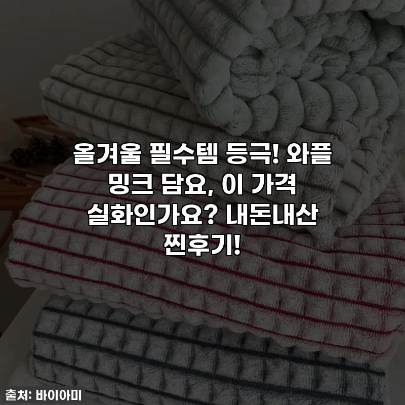 올겨울 필수템 등극! 와플 밍크 담요, 이 가격 실화인가요? 내돈내산 찐후기!
