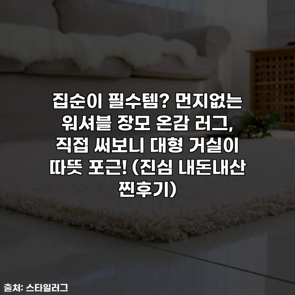 집순이 필수템? 먼지없는 워셔블 장모 온감 러그, 직접 써보니 대형 거실이 따뜻 포근! (진심 내돈내산 찐후기)