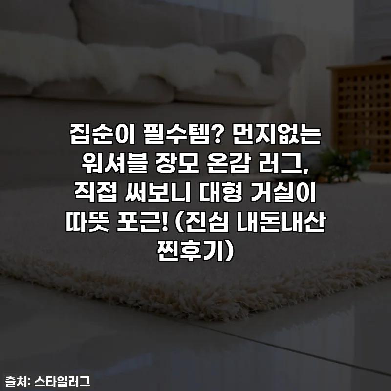 집순이 필수템? 먼지없는 워셔블 장모 온감 러그, 직접 써보니 대형 거실이 따뜻 포근! (진심 내돈내산 찐후기)