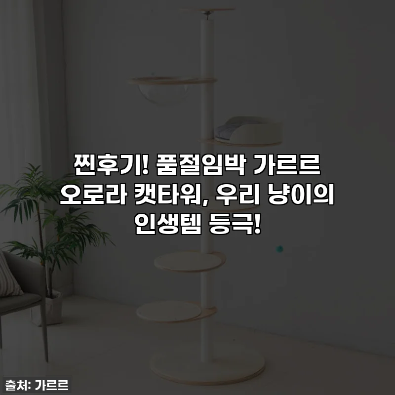 찐후기! 품절임박 가르르 오로라 캣타워, 우리 냥이의 인생템 등극!