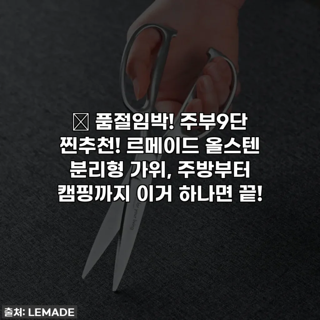 🔥 품절임박! 주부9단 찐추천! 르메이드 올스텐 분리형 가위, 주방부터 캠핑까지 이거 하나면 끝!