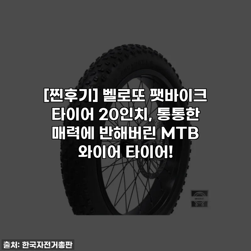 [찐후기] 벨로또 팻바이크 타이어 20인치, 통통한 매력에 반해버린 MTB 와이어 타이어!
