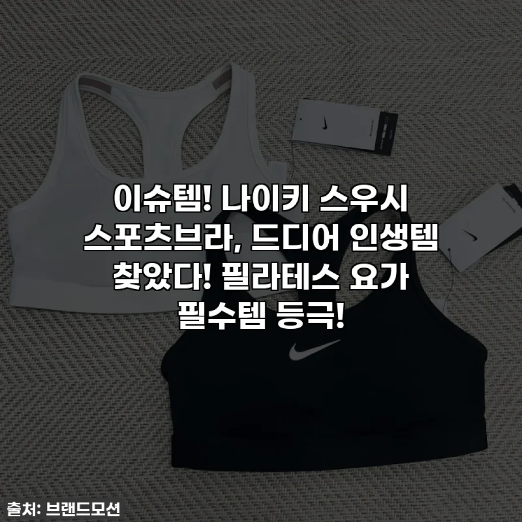 이슈템! 나이키 스우시 스포츠브라, 드디어 인생템 찾았다! 필라테스 요가 필수템 등극!