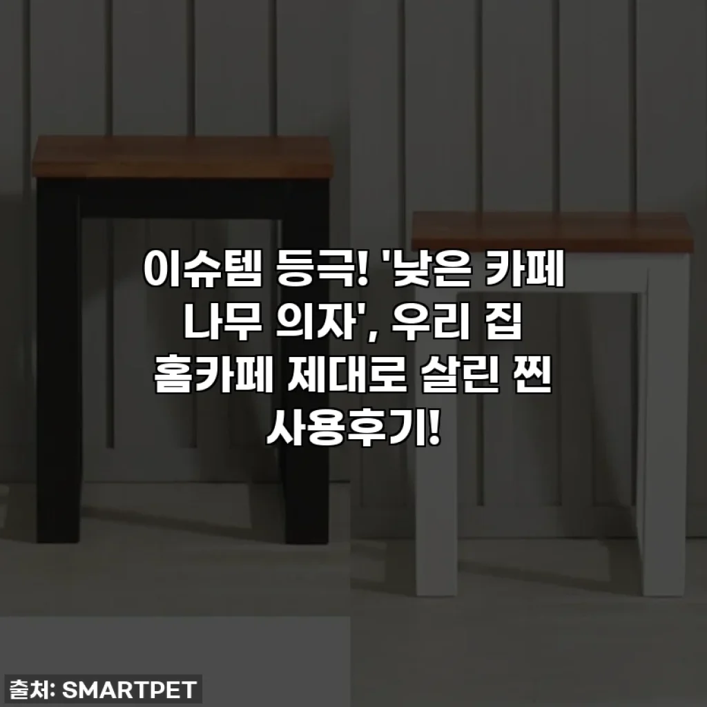 이슈템 등극! '낮은 카페 나무 의자', 우리 집 홈카페 제대로 살린 찐 사용후기!