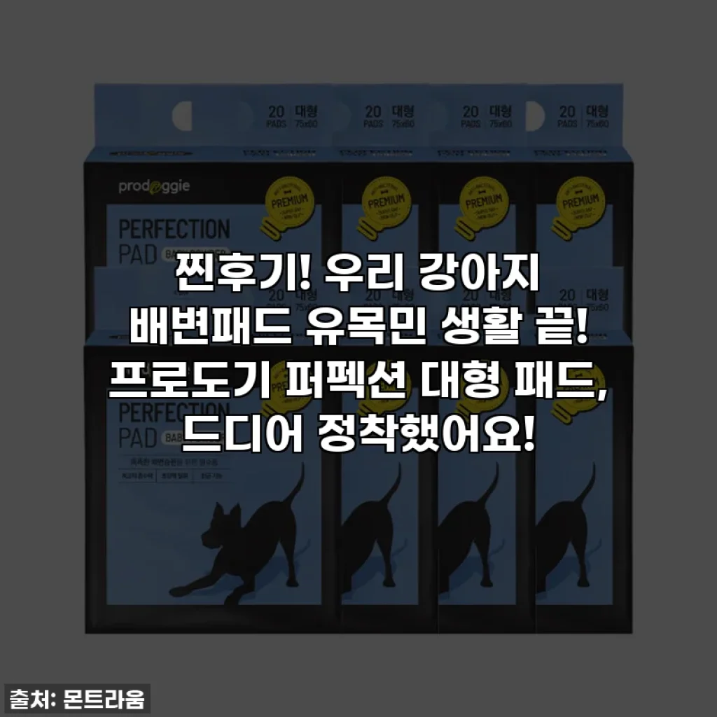 찐후기! 우리 강아지 배변패드 유목민 생활 끝! 프로도기 퍼펙션 대형 패드, 드디어 정착했어요!