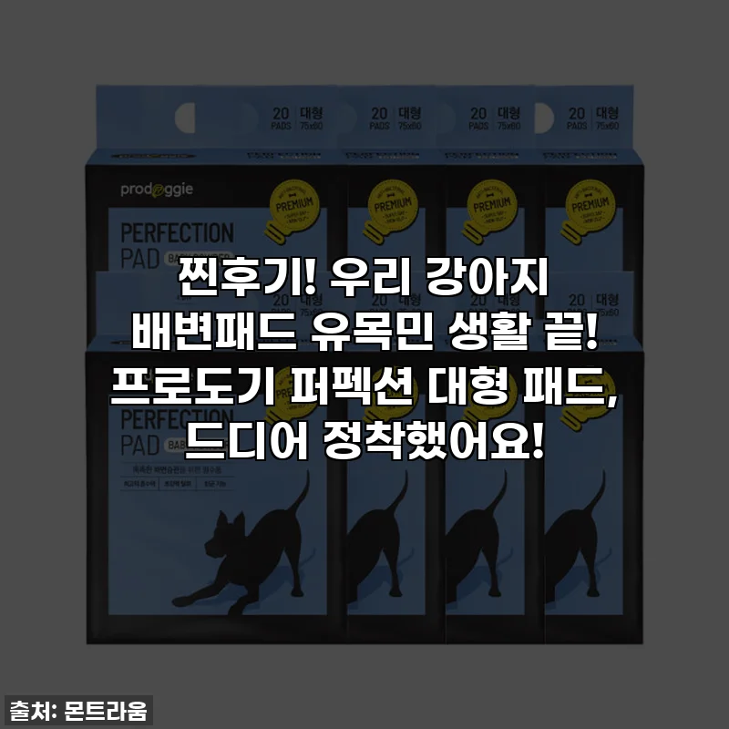 찐후기! 우리 강아지 배변패드 유목민 생활 끝! 프로도기 퍼펙션 대형 패드, 드디어 정착했어요!