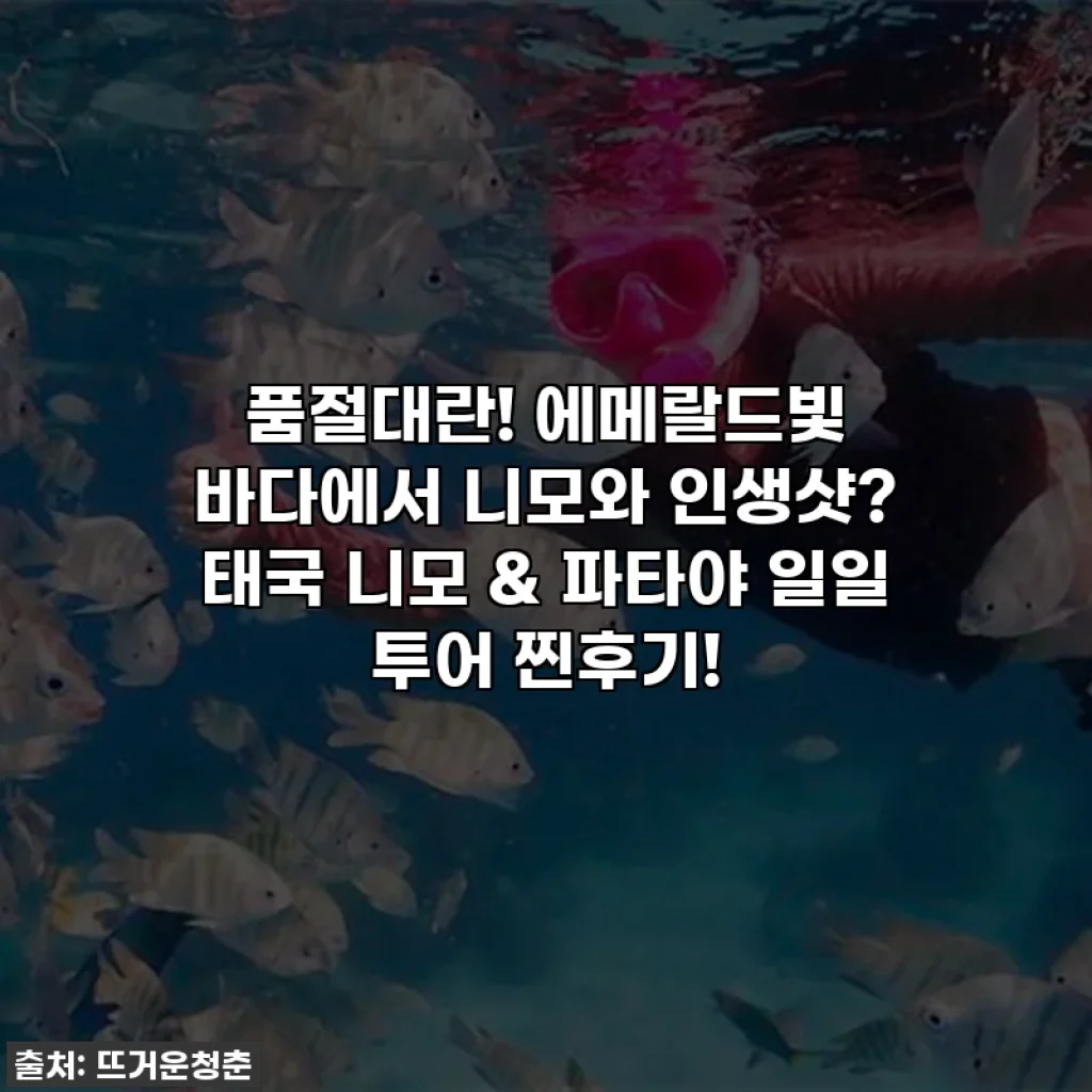 품절대란! 에메랄드빛 바다에서 니모와 인생샷? 태국 니모 & 파타야 일일 투어 찐후기!