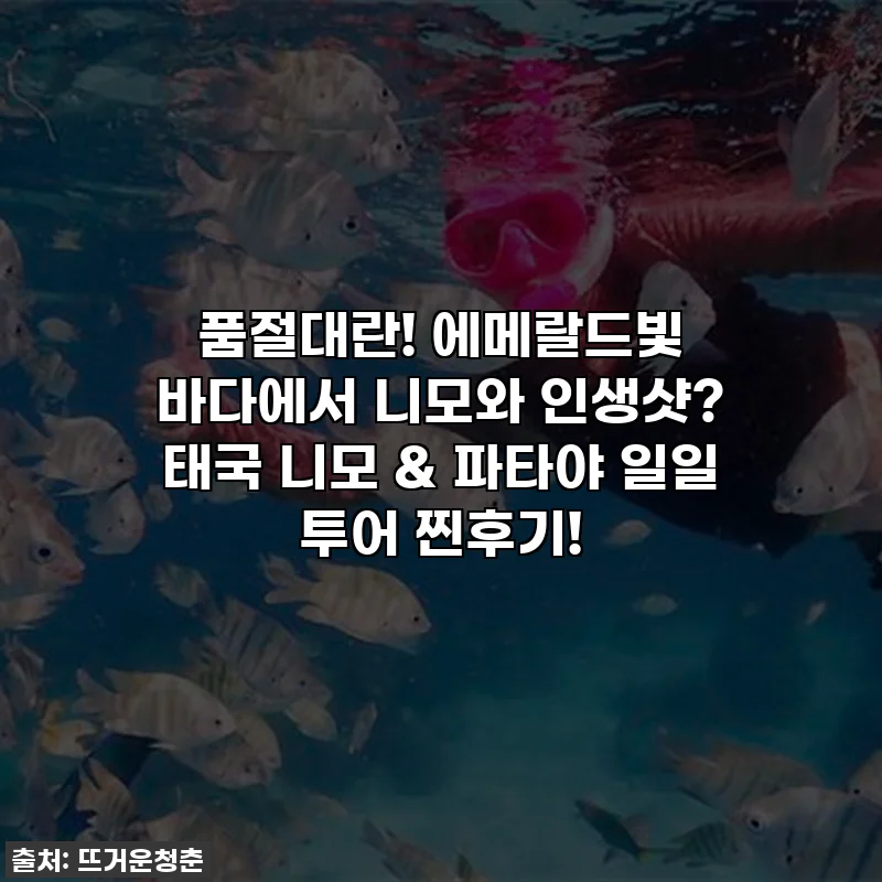 품절대란! 에메랄드빛 바다에서 니모와 인생샷? 태국 니모 & 파타야 일일 투어 찐후기!