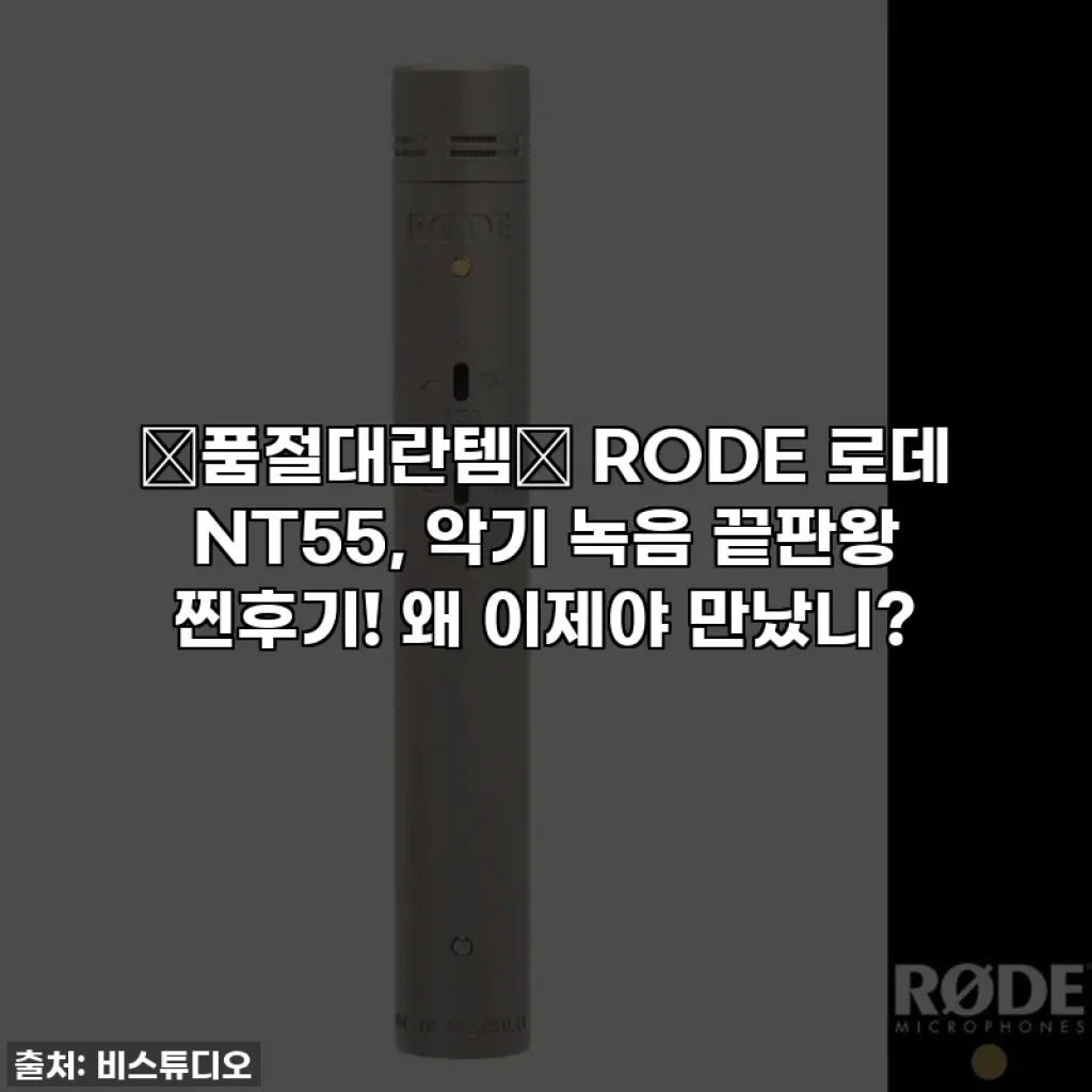✨품절대란템✨ RODE 로데 NT55, 악기 녹음 끝판왕 찐후기! 왜 이제야 만났니?