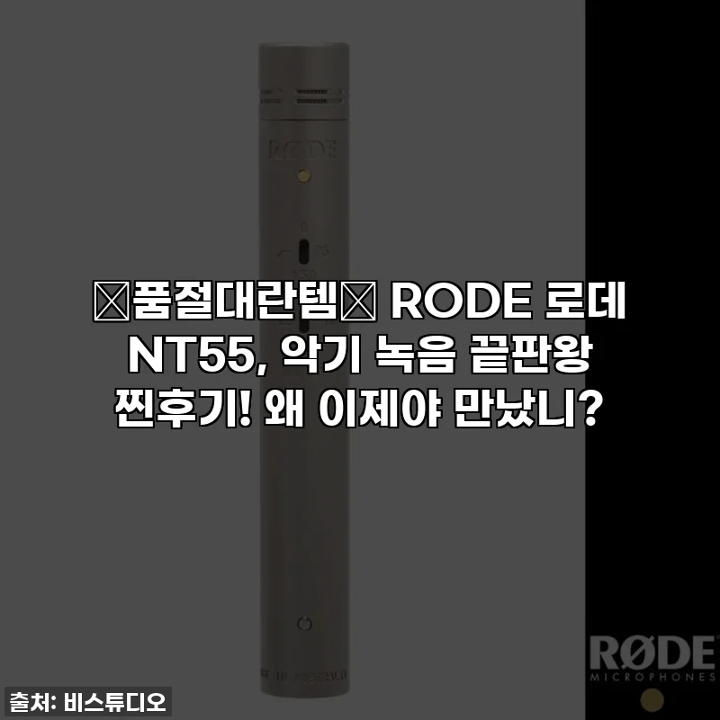 ✨품절대란템✨ RODE 로데 NT55, 악기 녹음 끝판왕 찐후기! 왜 이제야 만났니?