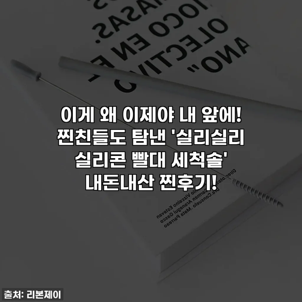 이게 왜 이제야 내 앞에! 찐친들도 탐낸 '실리실리 실리콘 빨대 세척솔' 내돈내산 찐후기!