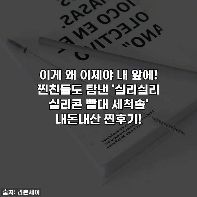 이게 왜 이제야 내 앞에! 찐친들도 탐낸 '실리실리 실리콘 빨대 세척솔' 내돈내산 찐후기!