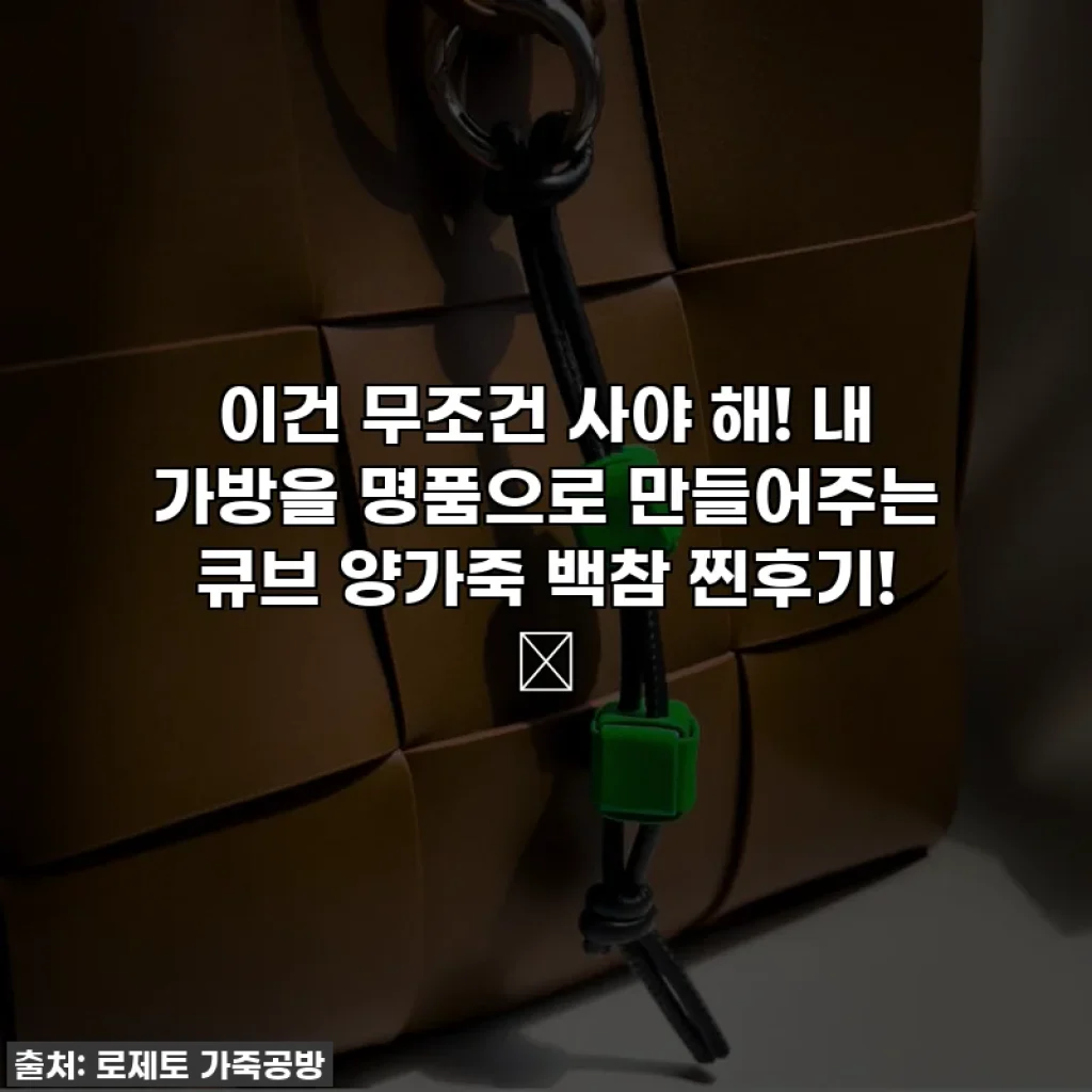 이건 무조건 사야 해! 내 가방을 명품으로 만들어주는 큐브 양가죽 백참 찐후기! ✨