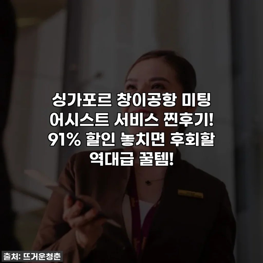 싱가포르 창이공항 미팅 어시스트 서비스 찐후기! 91% 할인 놓치면 후회할 역대급 꿀템!