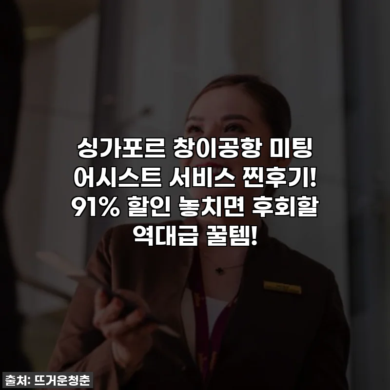 싱가포르 창이공항 미팅 어시스트 서비스 찐후기! 91% 할인 놓치면 후회할 역대급 꿀템!
