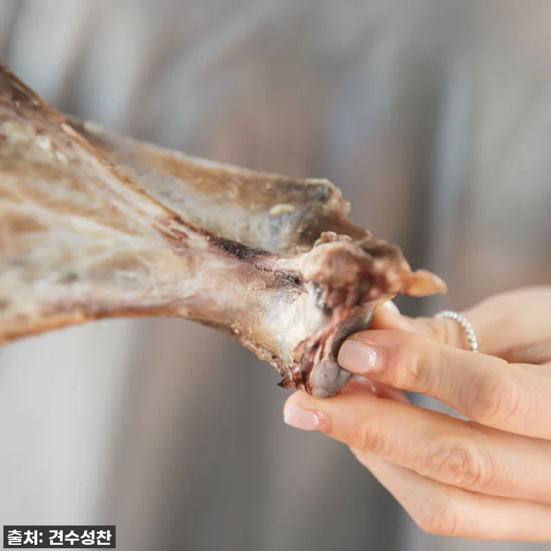 강아지 수제 간식 소형견 개껌 대형견 관련 이미지 1