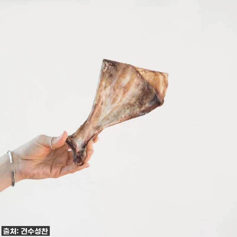 강아지 수제 간식 소형견 개껌 대형견 관련 이미지 2