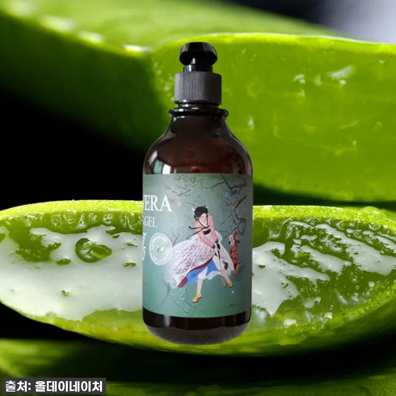 에바끌레르 제주산 알로에베라 모이스처 관련 이미지 2