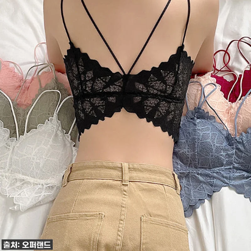 지금 이 가격 실화?! ✨ '나비 레 관련 이미지 2