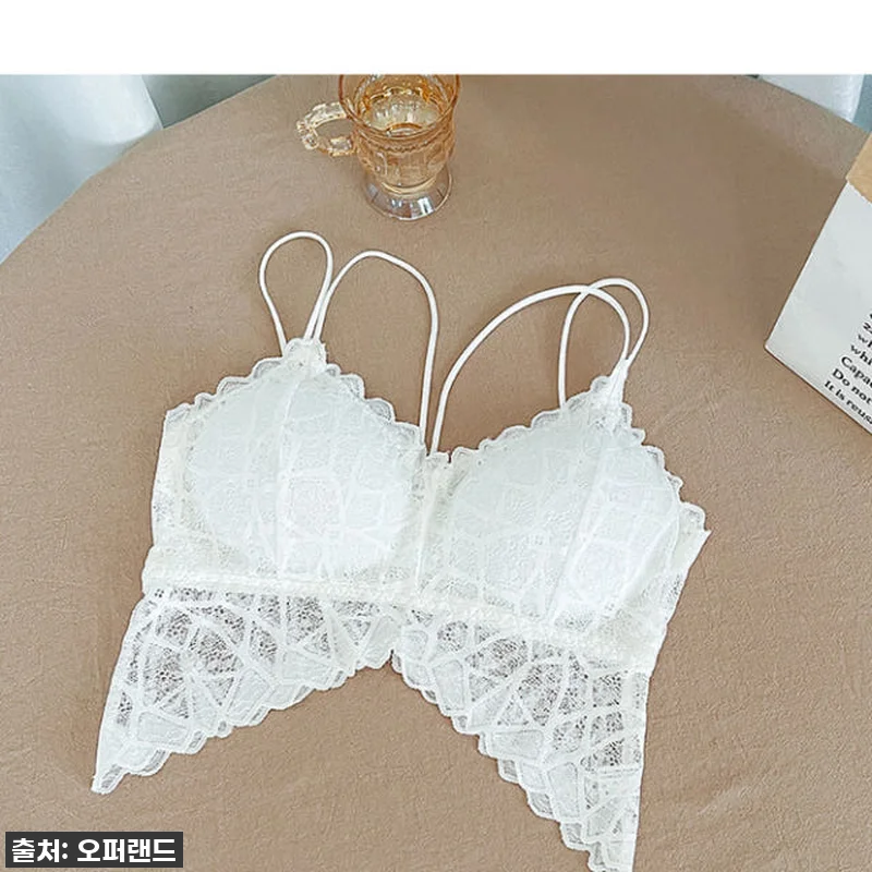 지금 이 가격 실화?! ✨ '나비 레 관련 이미지 5