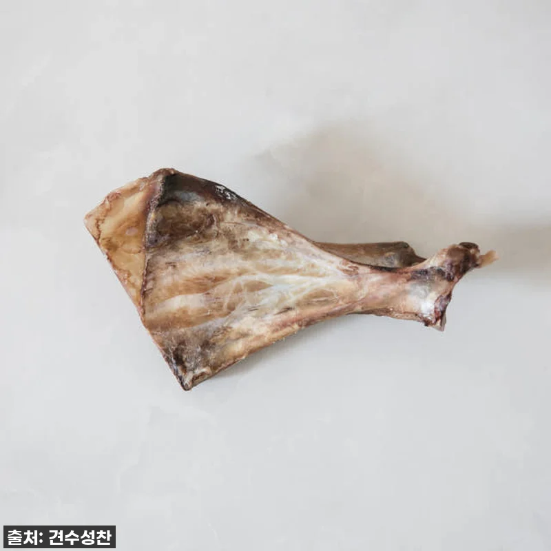 강아지 수제 간식 소형견 개껌 대형견 관련 이미지 6