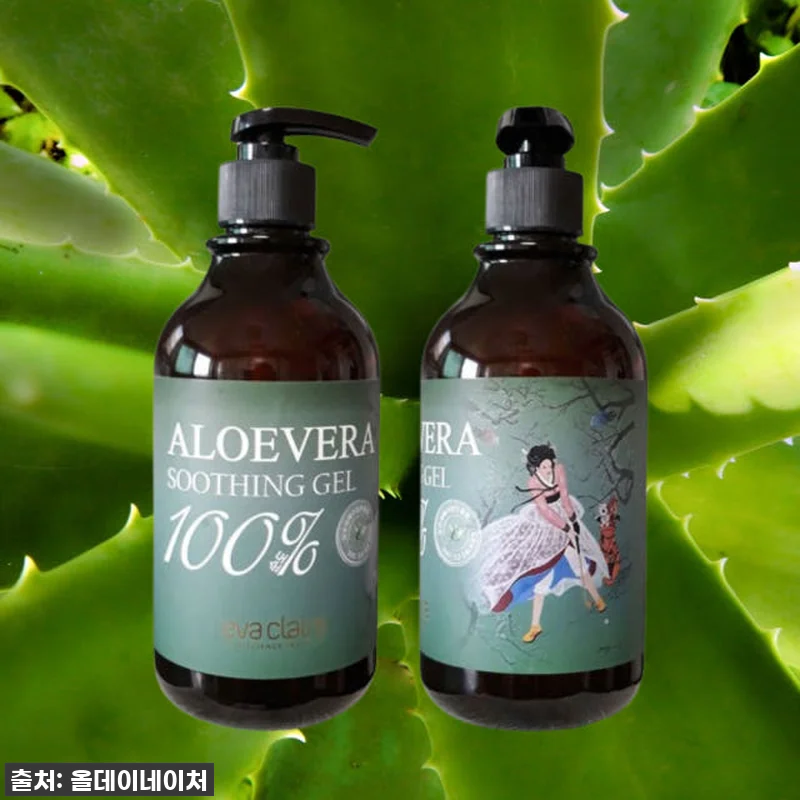 에바끌레르 제주산 알로에베라 모이스처 관련 이미지 6