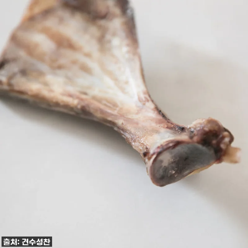 강아지 수제 간식 소형견 개껌 대형견 관련 이미지 7