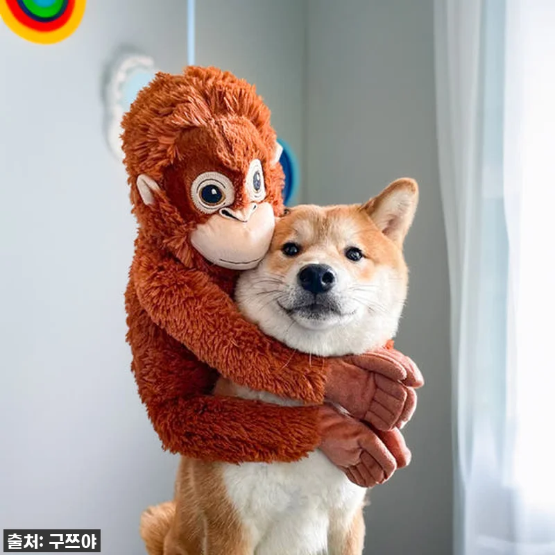 이 가격 실화?! 품절임박! '구쯔야 관련 이미지 7