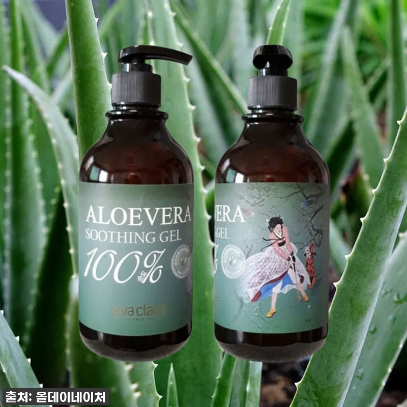 에바끌레르 제주산 알로에베라 모이스처 관련 이미지 7