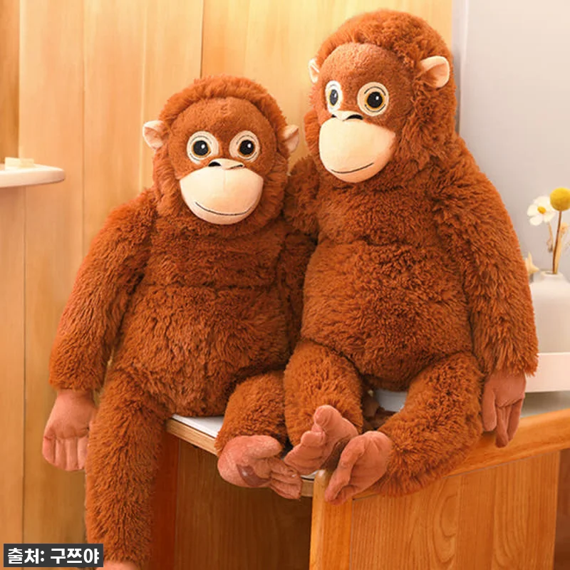 이 가격 실화?! 품절임박! '구쯔야 관련 이미지 8