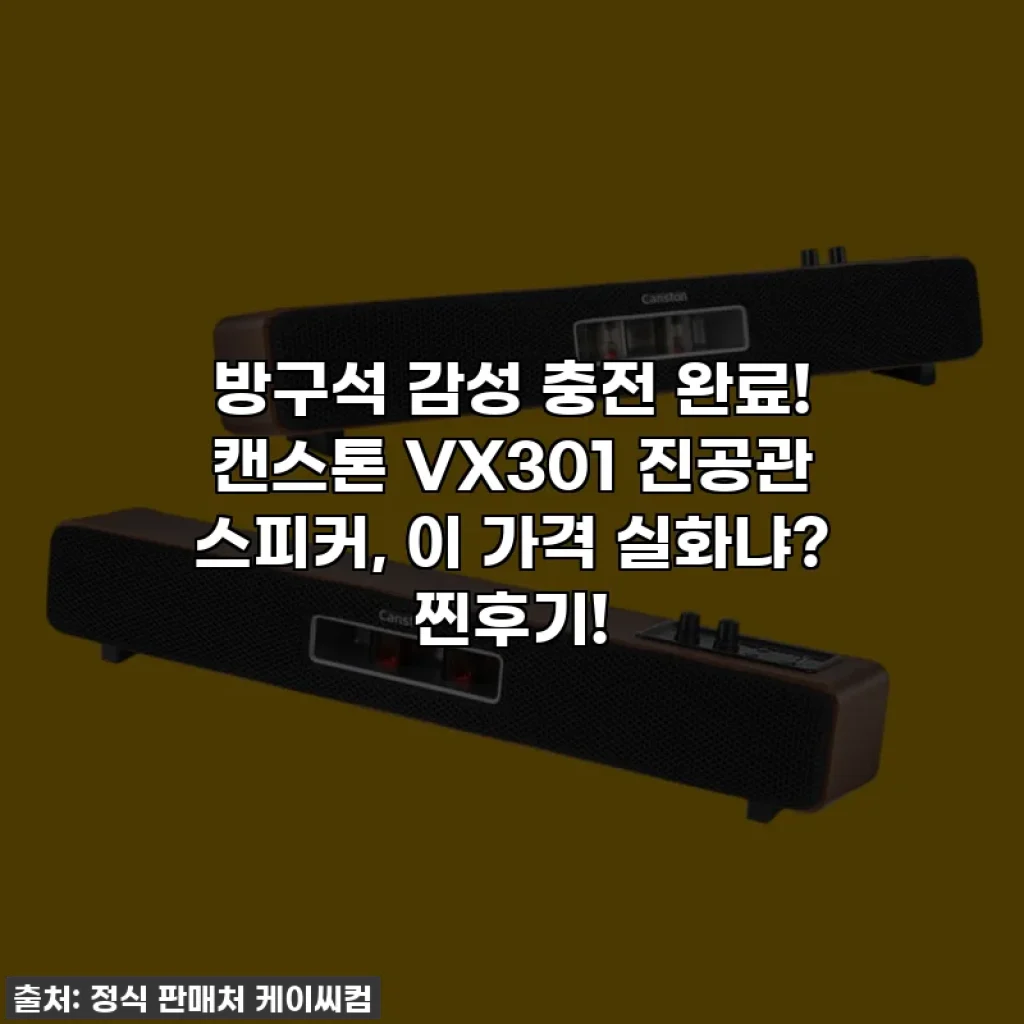 방구석 감성 충전 완료! 캔스톤 VX301 진공관 스피커, 이 가격 실화냐? 찐후기!