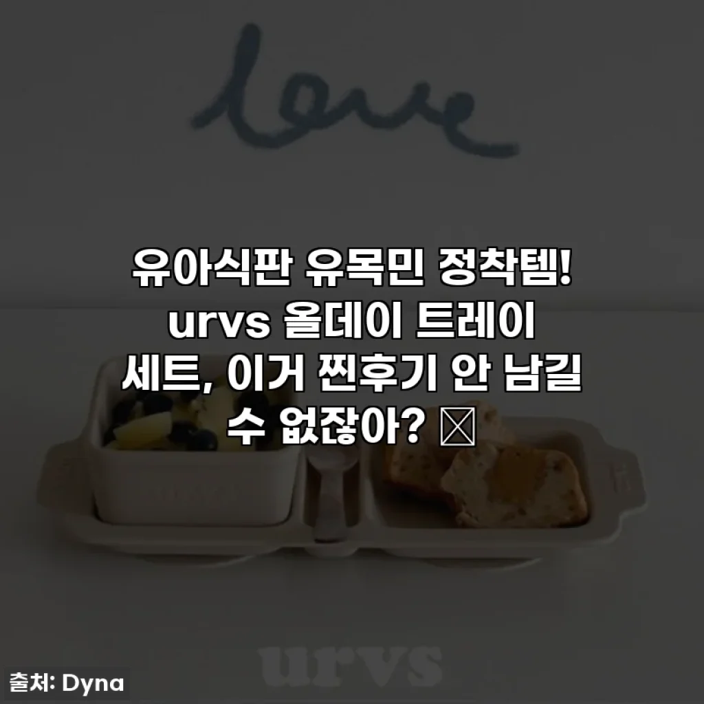 유아식판 유목민 정착템! urvs 올데이 트레이 세트, 이거 찐후기 안 남길 수 없잖아? ✨