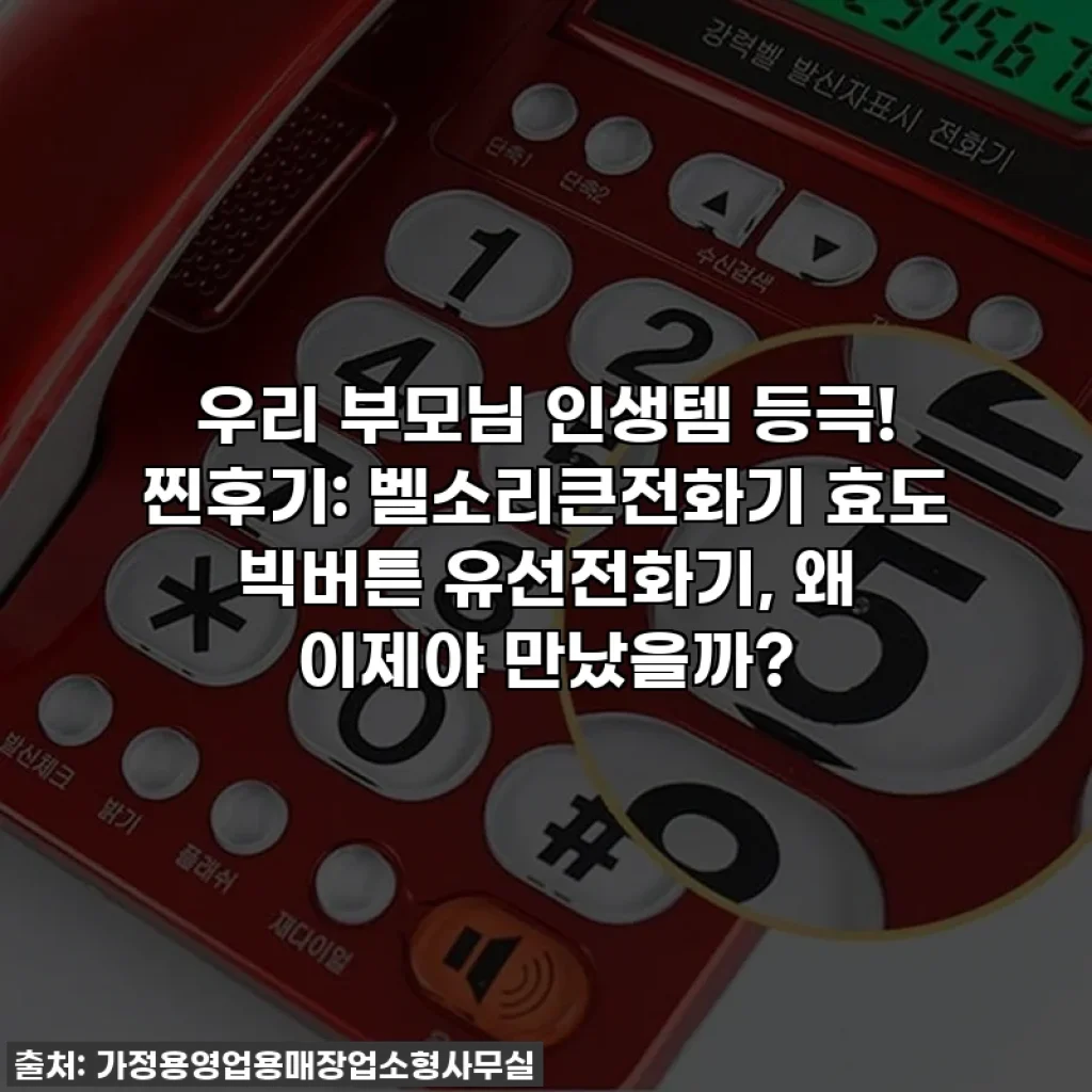 우리 부모님 인생템 등극! 찐후기: 벨소리큰전화기 효도 빅버튼 유선전화기, 왜 이제야 만났을까?