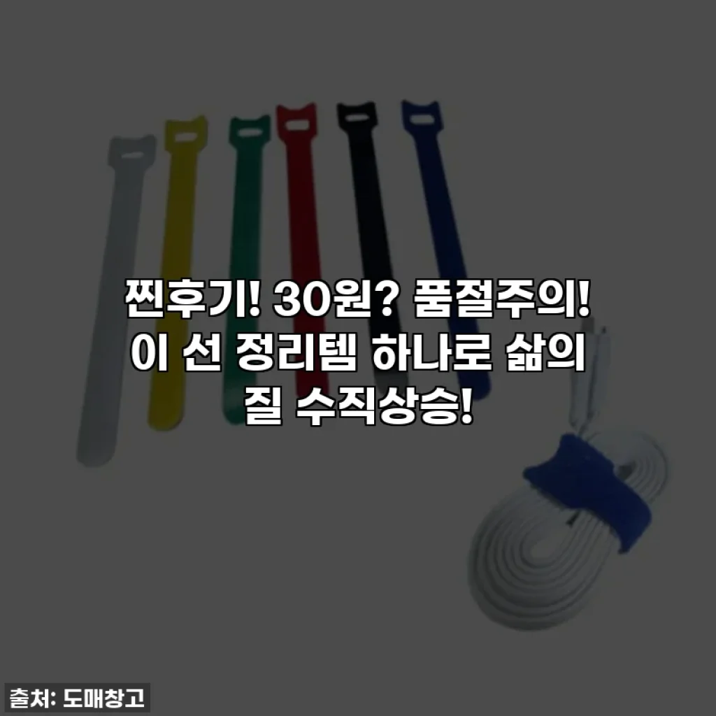 찐후기! 30원? 품절주의! 이 선 정리템 하나로 삶의 질 수직상승!