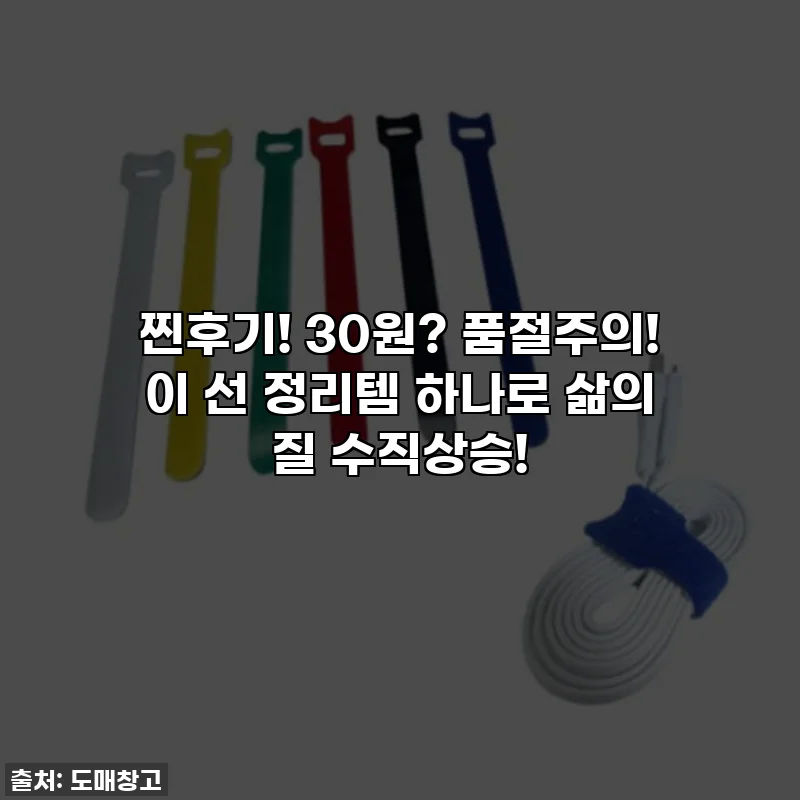찐후기! 30원? 품절주의! 이 선 정리템 하나로 삶의 질 수직상승!