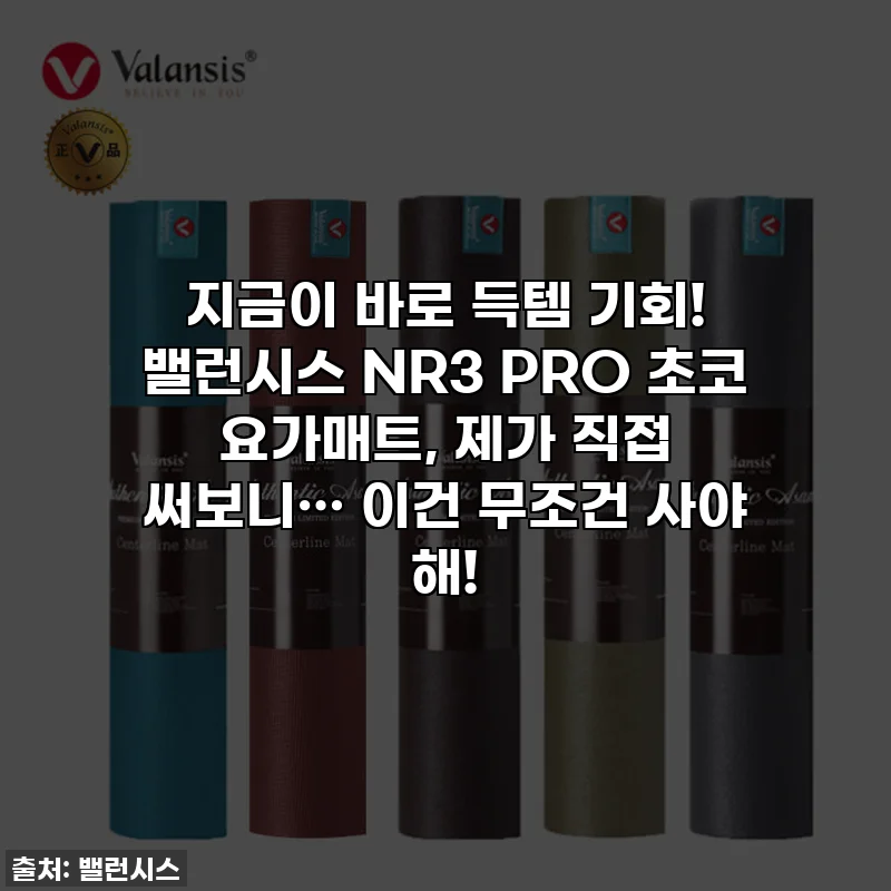 지금이 바로 득템 기회! 밸런시스 NR3 PRO 초코 요가매트, 제가 직접 써보니… 이건 무조건 사야 해!