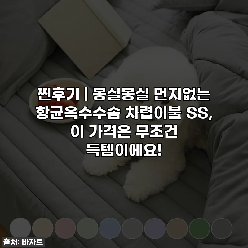 찐후기 | 몽실몽실 먼지없는 항균옥수수솜 차렵이불 SS, 이 가격은 무조건 득템이에요!