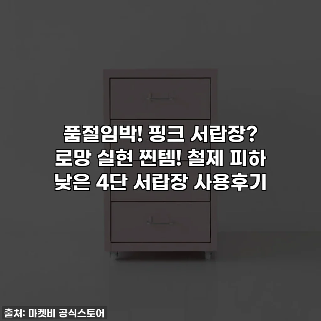 품절임박! 핑크 서랍장? 로망 실현 찐템! 철제 피하 낮은 4단 서랍장 사용후기