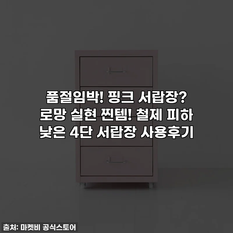 품절임박! 핑크 서랍장? 로망 실현 찐템! 철제 피하 낮은 4단 서랍장 사용후기