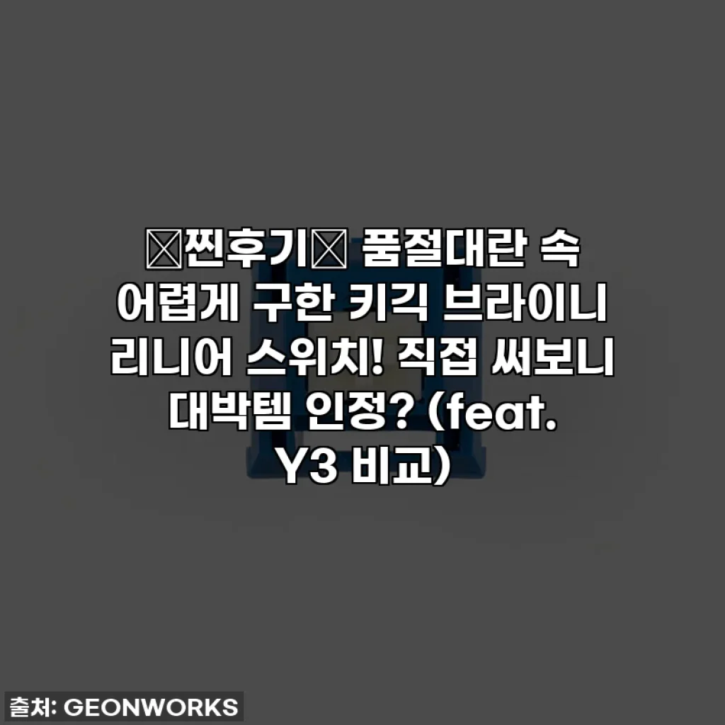 🚨찐후기🚨 품절대란 속 어렵게 구한 키긱 브라이니 리니어 스위치! 직접 써보니 대박템 인정? (feat. Y3 비교)