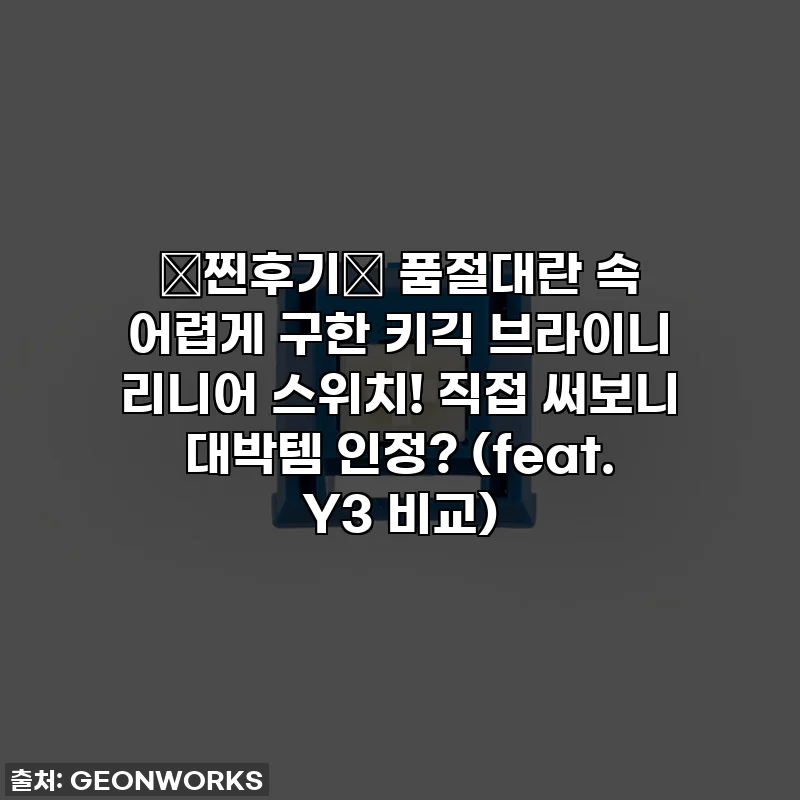 🚨찐후기🚨 품절대란 속 어렵게 구한 키긱 브라이니 리니어 스위치! 직접 써보니 대박템 인정? (feat. Y3 비교)