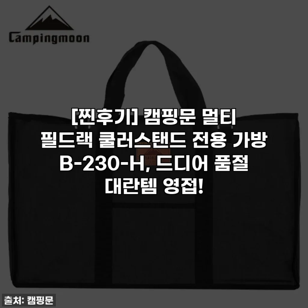 [찐후기] 캠핑문 멀티 필드랙 쿨러스탠드 전용 가방 B-230-H, 드디어 품절 대란템 영접!