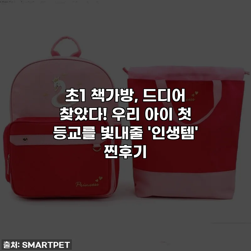 초1 책가방, 드디어 찾았다! 우리 아이 첫 등교를 빛내줄 '인생템' 찐후기