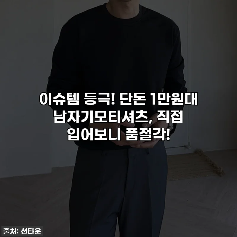 이슈템 등극! 단돈 1만원대 남자기모티셔츠, 직접 입어보니 품절각!