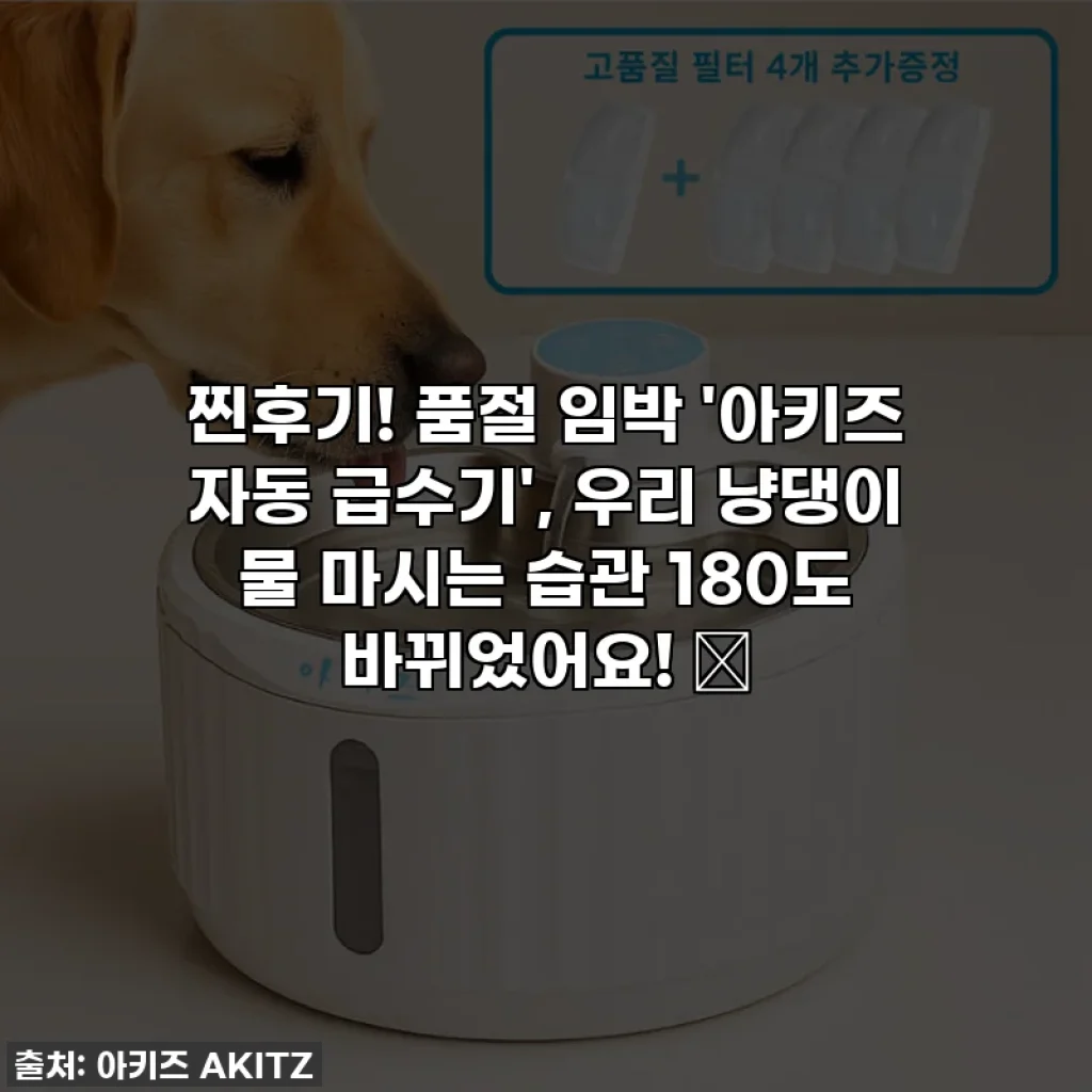 찐후기! 품절 임박 '아키즈 자동 급수기', 우리 냥댕이 물 마시는 습관 180도 바뀌었어요! 🐾