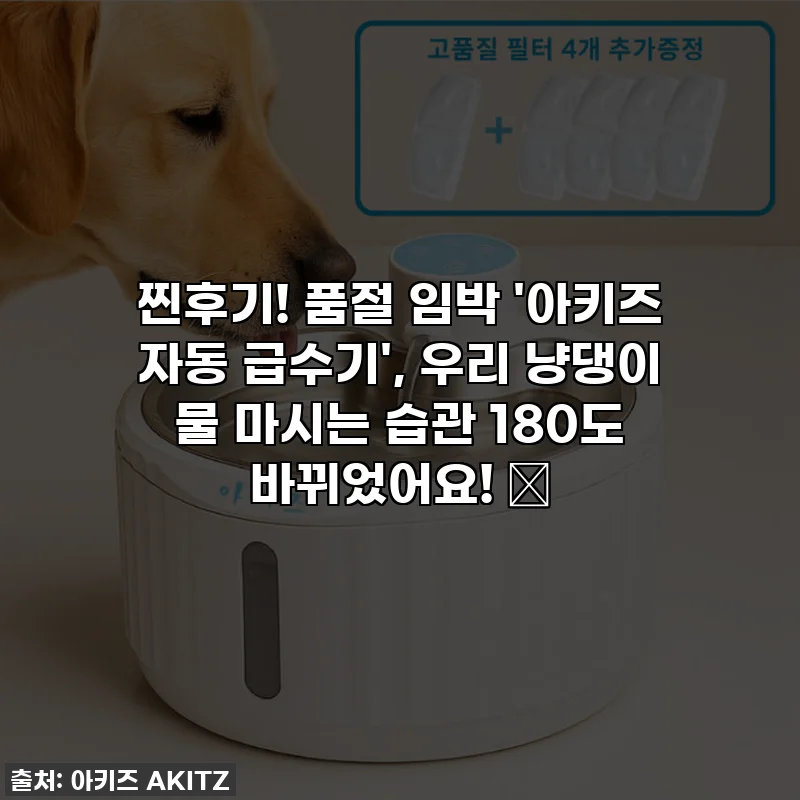 찐후기! 품절 임박 '아키즈 자동 급수기', 우리 냥댕이 물 마시는 습관 180도 바뀌었어요! 🐾