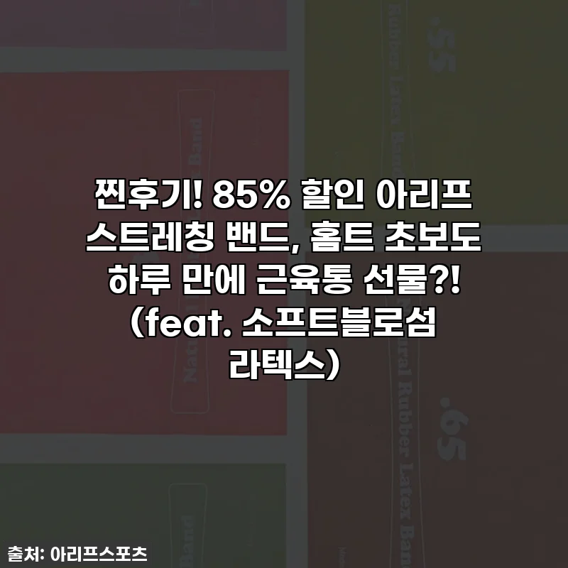 찐후기! 85% 할인 아리프 스트레칭 밴드, 홈트 초보도 하루 만에 근육통 선물?! (feat. 소프트블로섬 라텍스)