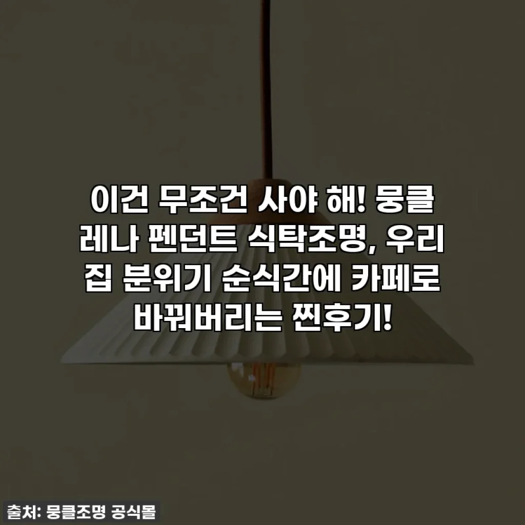 이건 무조건 사야 해! 뭉클 레나 펜던트 식탁조명, 우리 집 분위기 순식간에 카페로 바꿔버리는 찐후기!