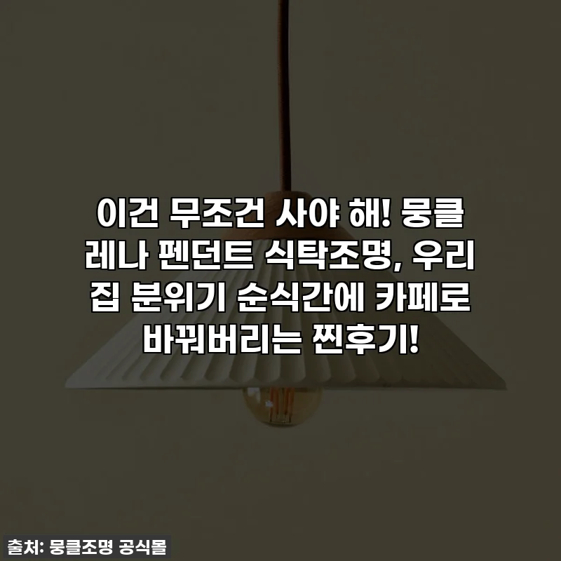 이건 무조건 사야 해! 뭉클 레나 펜던트 식탁조명, 우리 집 분위기 순식간에 카페로 바꿔버리는 찐후기!