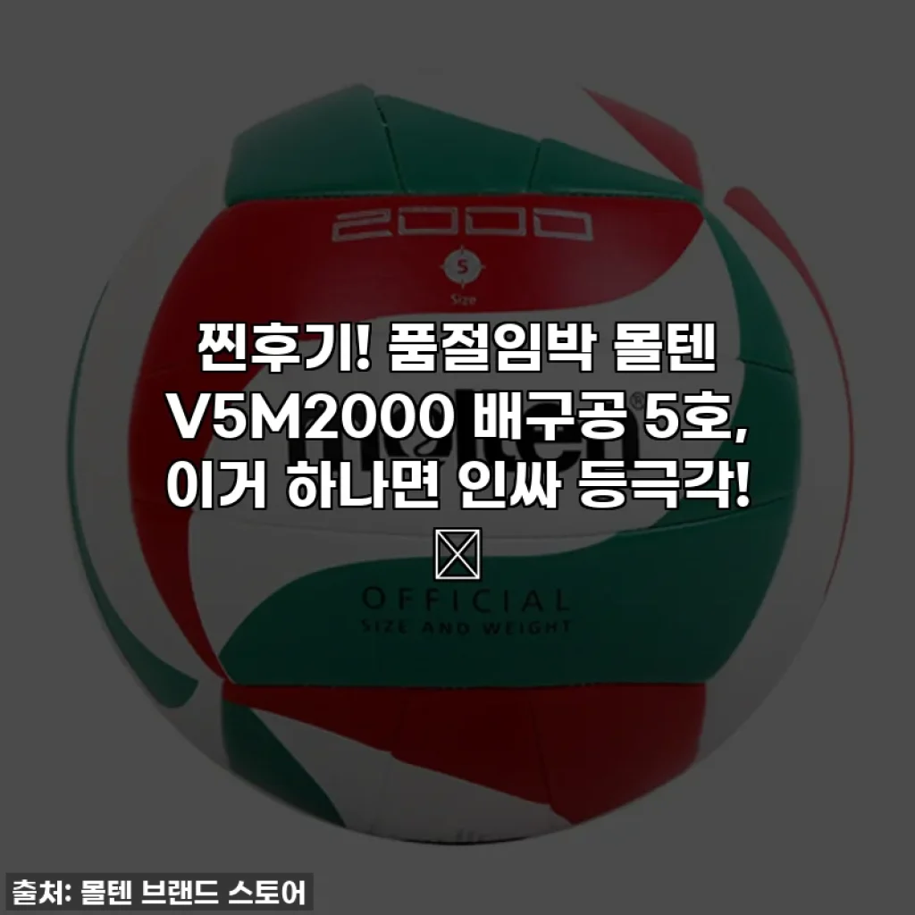찐후기! 품절임박 몰텐 V5M2000 배구공 5호, 이거 하나면 인싸 등극각! 🏐